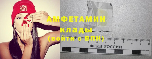 мет Алексин