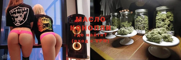 мет Алексин