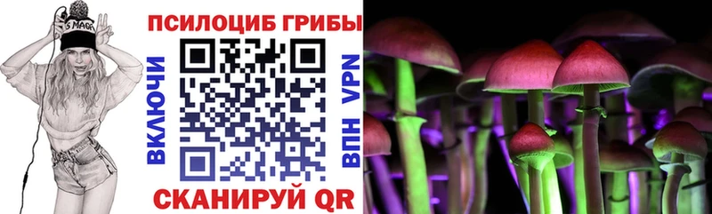 как найти   Аткарск  Псилоцибиновые грибы мухоморы 